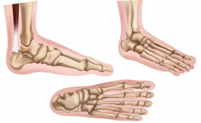 Foot Pain | Anatomy in Motion | Balwyn North