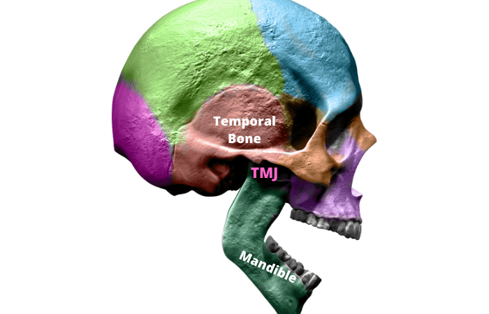 TMJ | temporomandibular dysfunction | Osteopath Balwyn